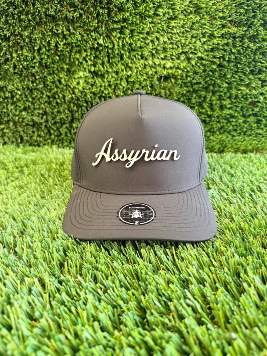 Assyrian Sports Performance Hat